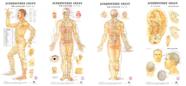 ACUPUNCTURE CHART, WALL FORM - Opis Supplies Shop