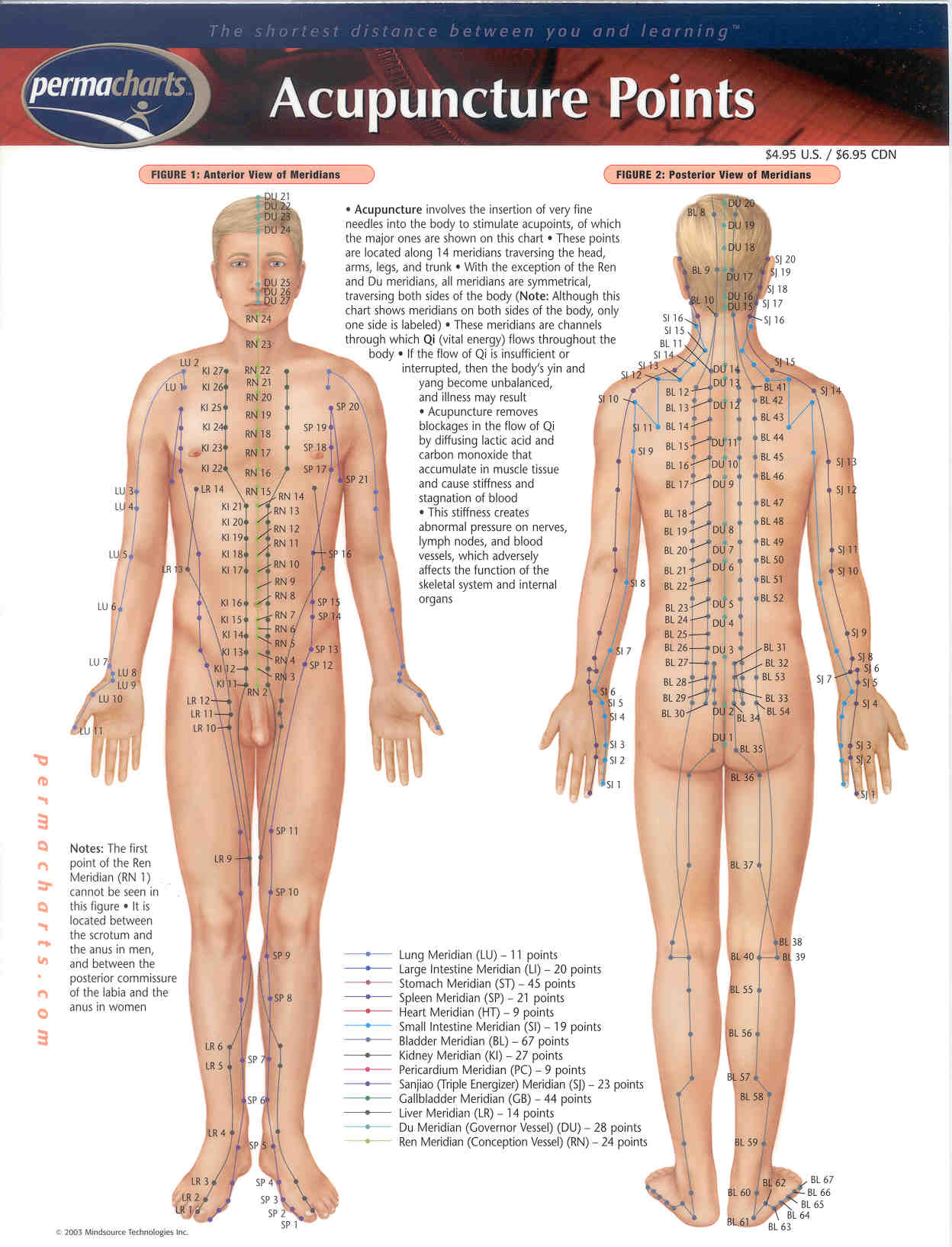 ACUPUNCTURE POINTS PERMA CHART Opis Supplies Shop