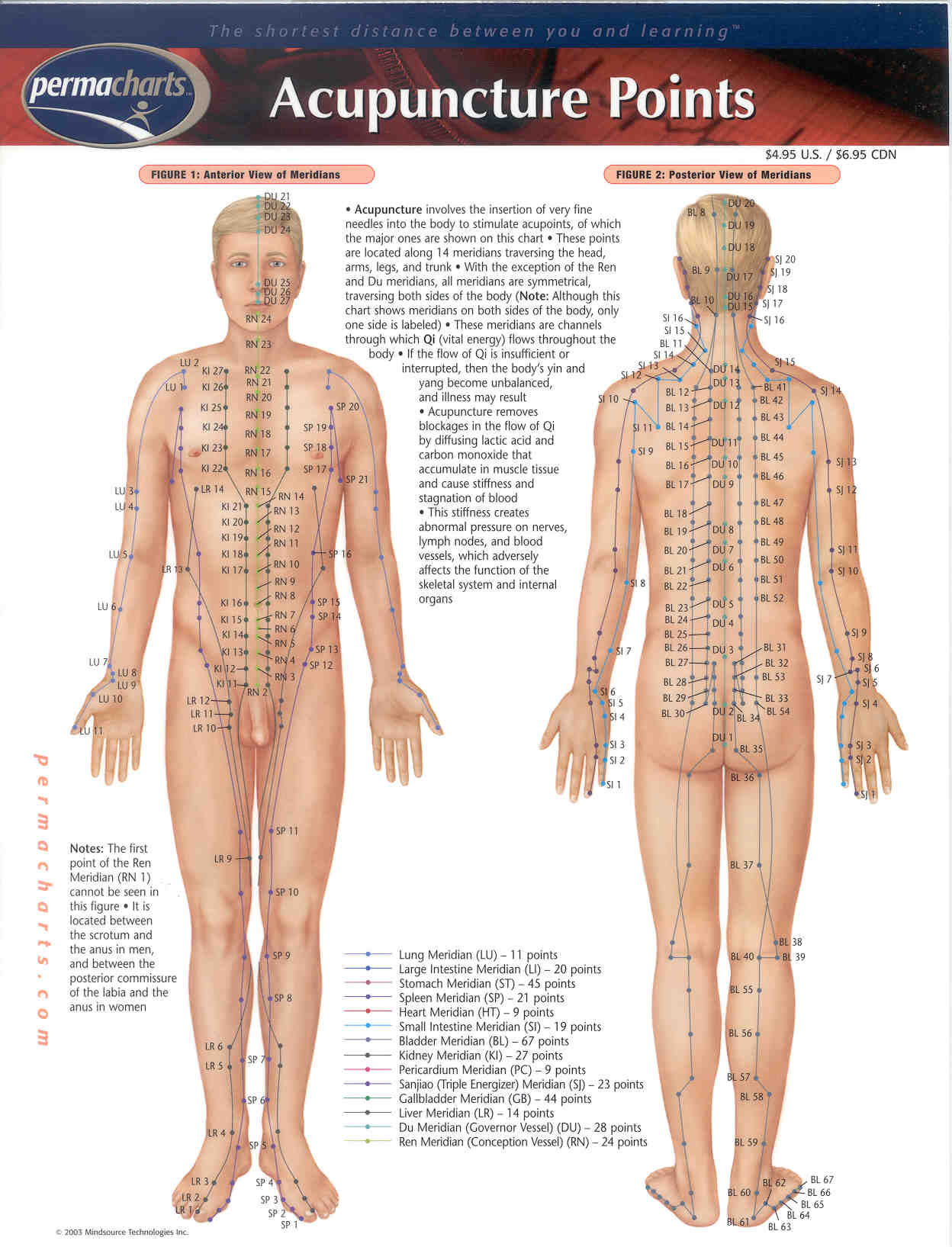 Acupuncture Points Perma Chart Opis Supplies Shop 1111