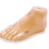 Model: Foot (6″/13cm)